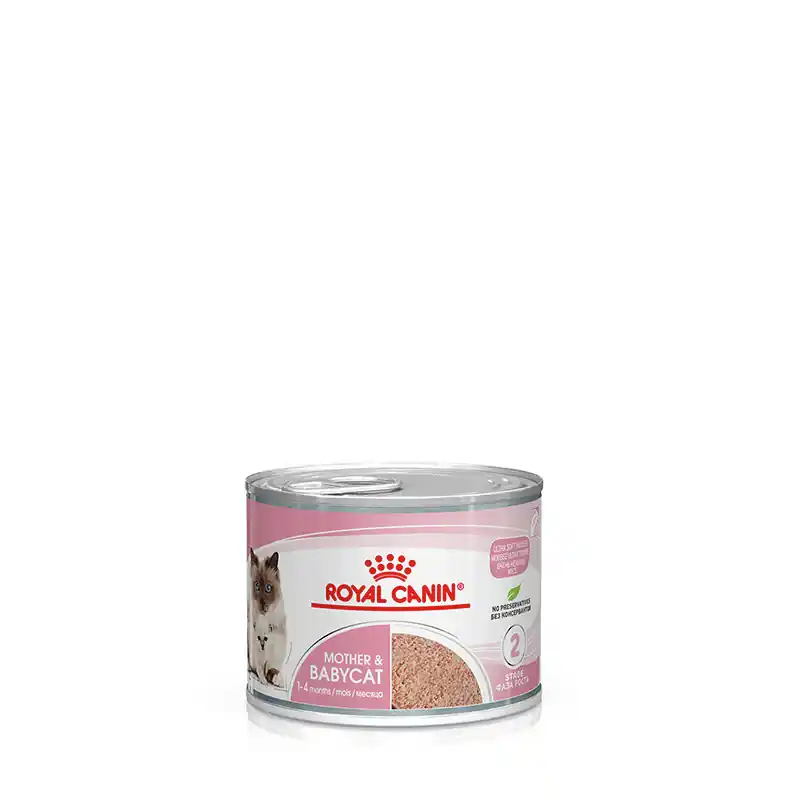 ROYAL CANIN Babycat Dose 195 g Jetzt Bestellen